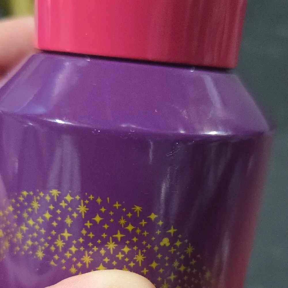 Disney Starbucks Metal Bottle